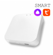SMART Конвертер WI-FI для трековой системы