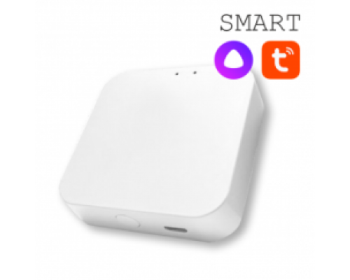 SMART Конвертер WI-FI для трековой системы